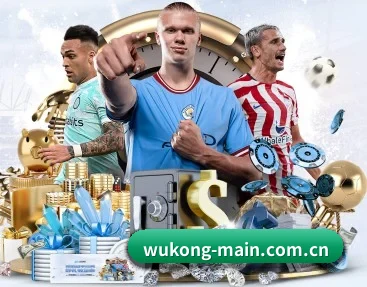 平台简介 - 体育资讯内容服务 | WuKongSports